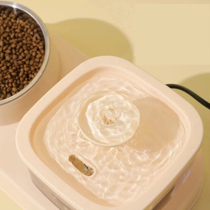 2-in-1 Pet Feeder and Drinker – Auto Water Dispenser and Food Divider
