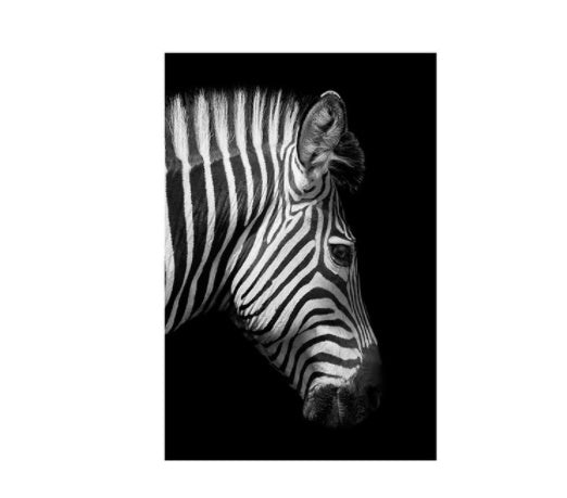 Black & White Zebra Print – Canvas Wall Art for the Home