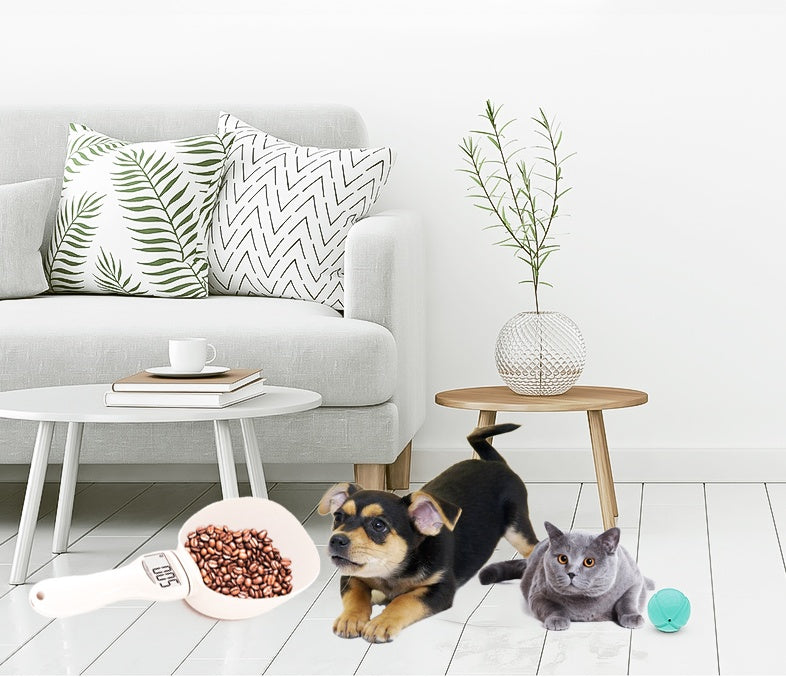 Pet Feeding Weighing Spoon -  with clear LCD and detectable scoop