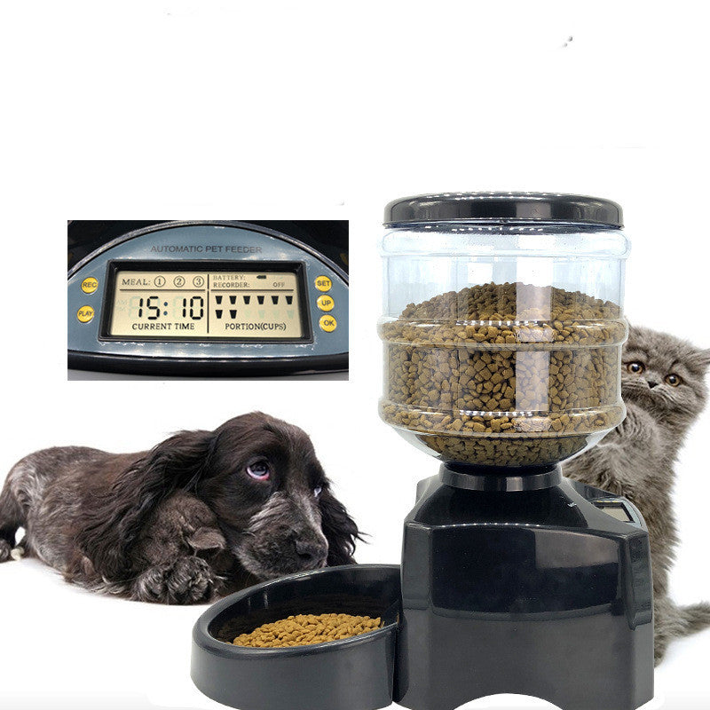 Auto Pet Feeder – Timed Meals, Portion Control, 3x Daily
