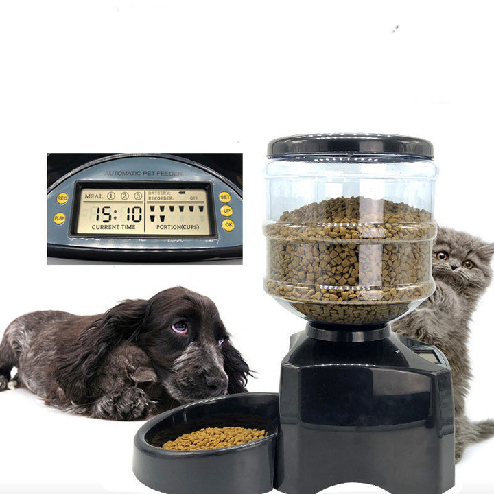Auto Pet Feeder – Timed Meals, Portion Control, 3x Daily