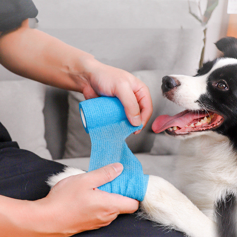 Self-Adhesive Pet Bandage Roll – Flexible, Breathable and Pet-Friendly
