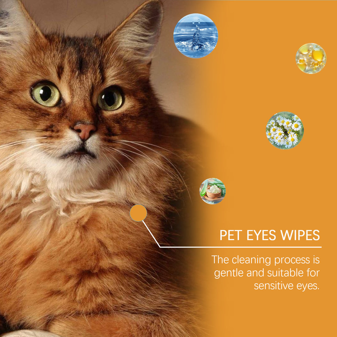 Yegbong Pet Eye Cleaning Wipes - Safe for Dogs and Cats